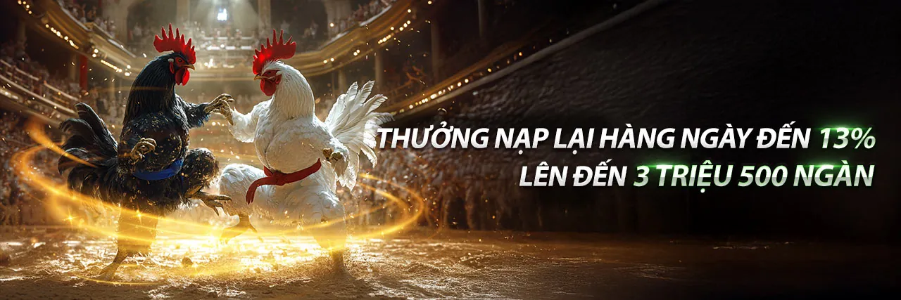 Sân đấu đá gà trực tuyến Gamebet
